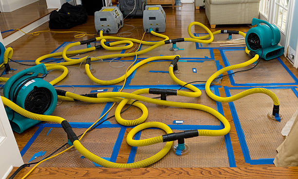 Professional Basement Flood Cleanup technician working in Dripping Springs, TX